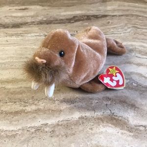 TY Walrus Beanie Baby | Paul